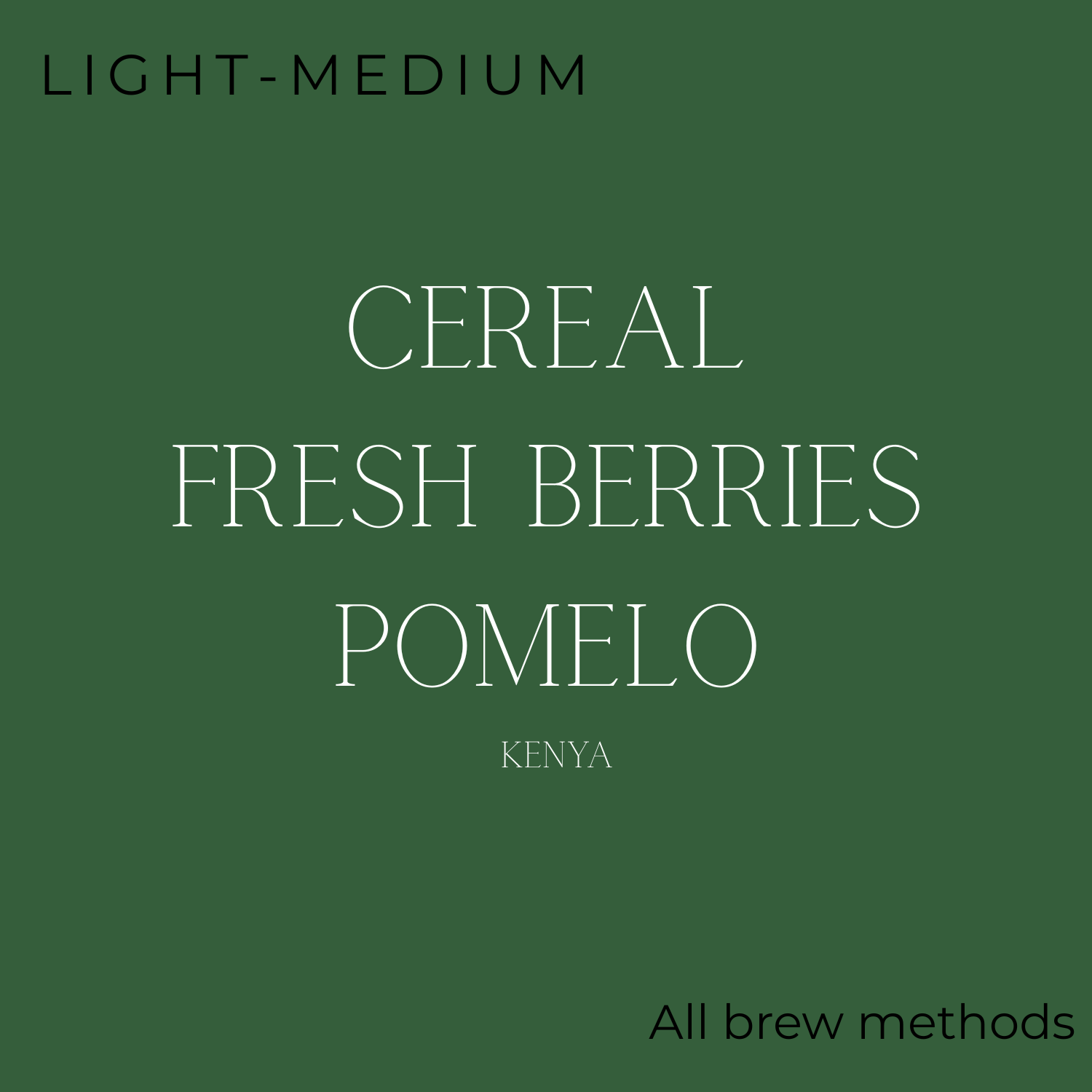 Brewed Daily - Brunch Brew Coffee Beans