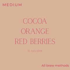 Brewlant - El Salvador - Velvet Bourbon Coffee Beans